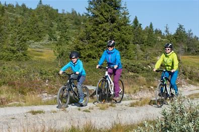 A family bicycling along a gravel road.