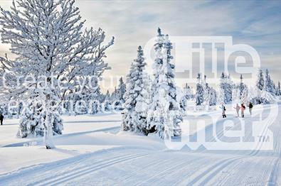 Cross-Country skiing