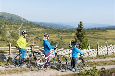 A family biking in the mountain farm landscape.