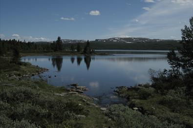 Digeråsrunden