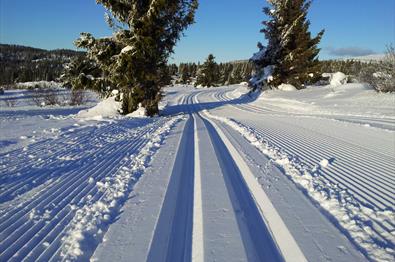 Langrenn Nordseter - Sjusjøen