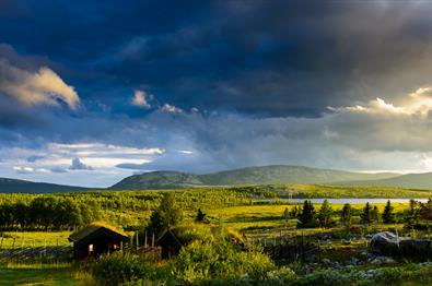 Peer Gynt Road