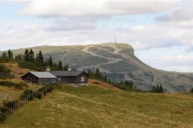 Walking at Skeikampen in great nature. 35 minutes from Lillehammer.