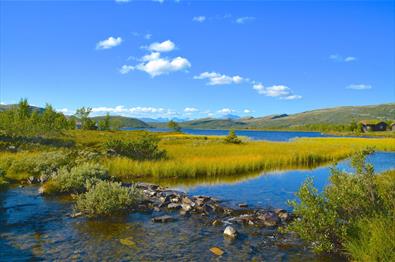 The Svartfjell Trail (12 km)