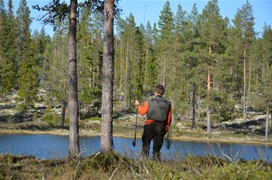 Ørretfiske i Langsua