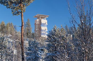 The moose observation tower