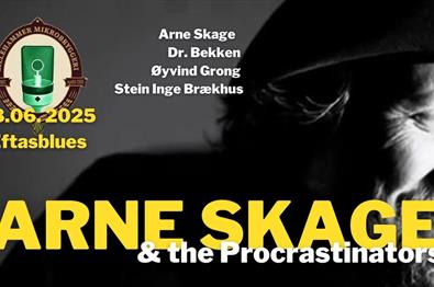 Arne Skage