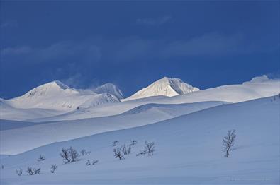 Venabygdsfjellet vinter