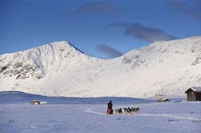 Gausdal Maraton - hundekjøringsløp