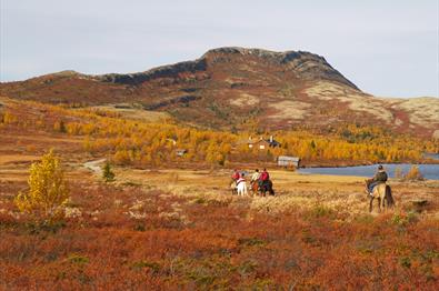 Ridning på fjellet