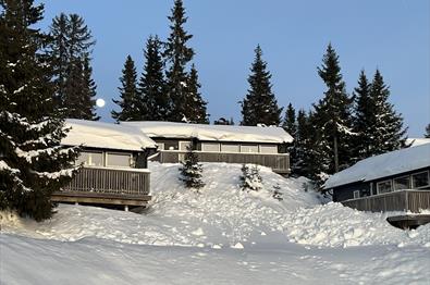 Hytte HCX62 winter daytime