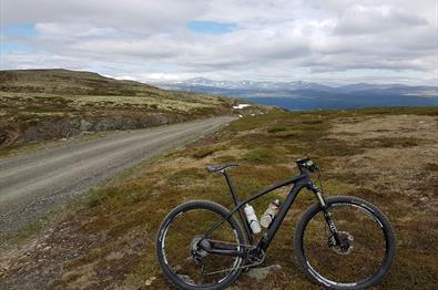 A bike parked alongside the mountain road.