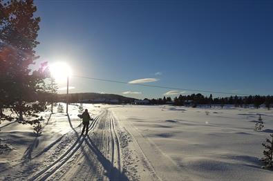 Hovderunden, lang runde (12 km)