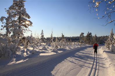 Cross-country Skiing in Lillehammermarka
