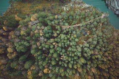 Den bortgjemte skogen som kunstverket Okulus ligger