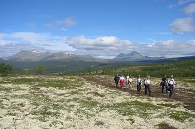 Hiking in Rondane National Park