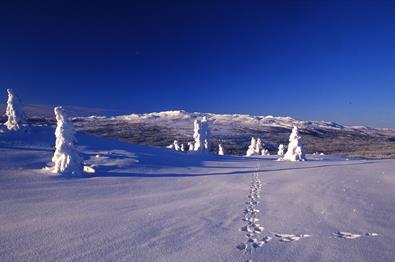 Sæterrunden (18 km)