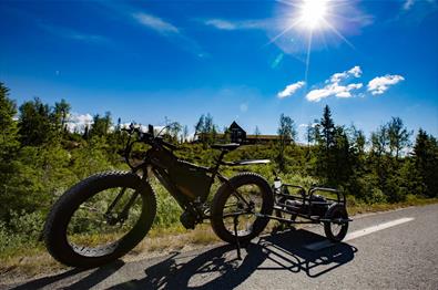 Biking from Synnfjellporten