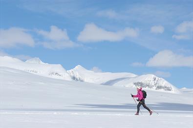 På skitur