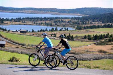 Two bicyclist riding along a mountain road.