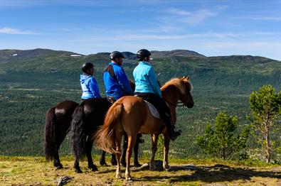 View of the horseback beyond the Espedalen