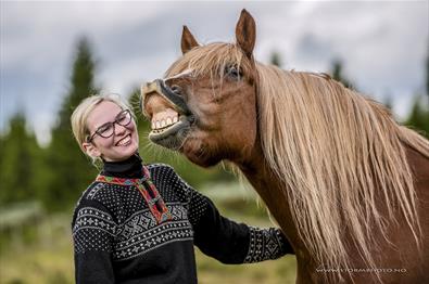 Blide turledere og hester i Venabustallen