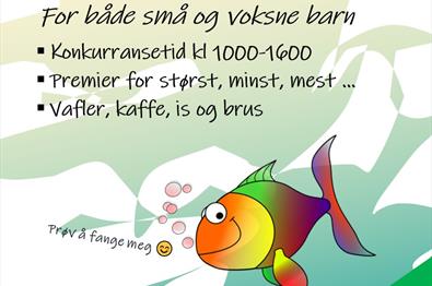 FjellFiskeFestival