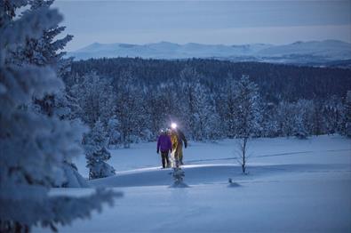 Schneshuewandern am Gålå