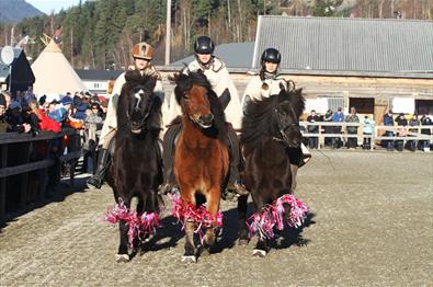 Islandsjenter Stavsmarn