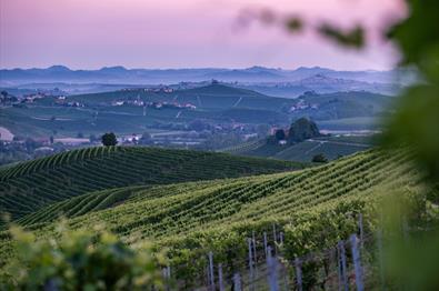 Wine makers dinner | Nermo Hotell