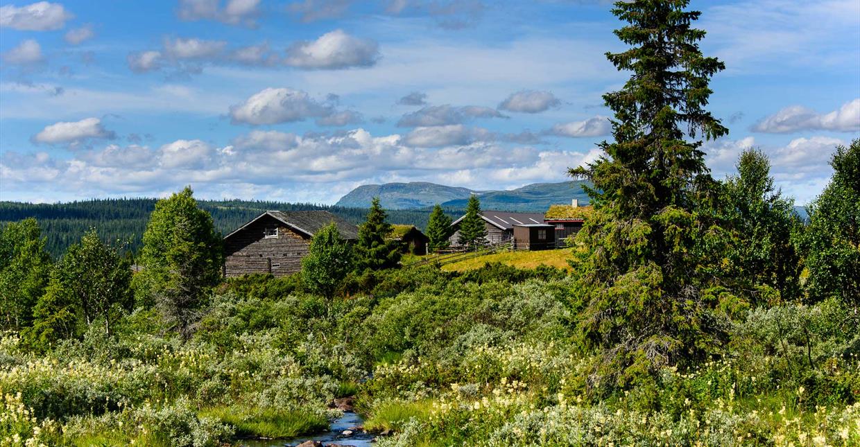 Seterlandskap med utsikt utover Langsua Nasjonalpark