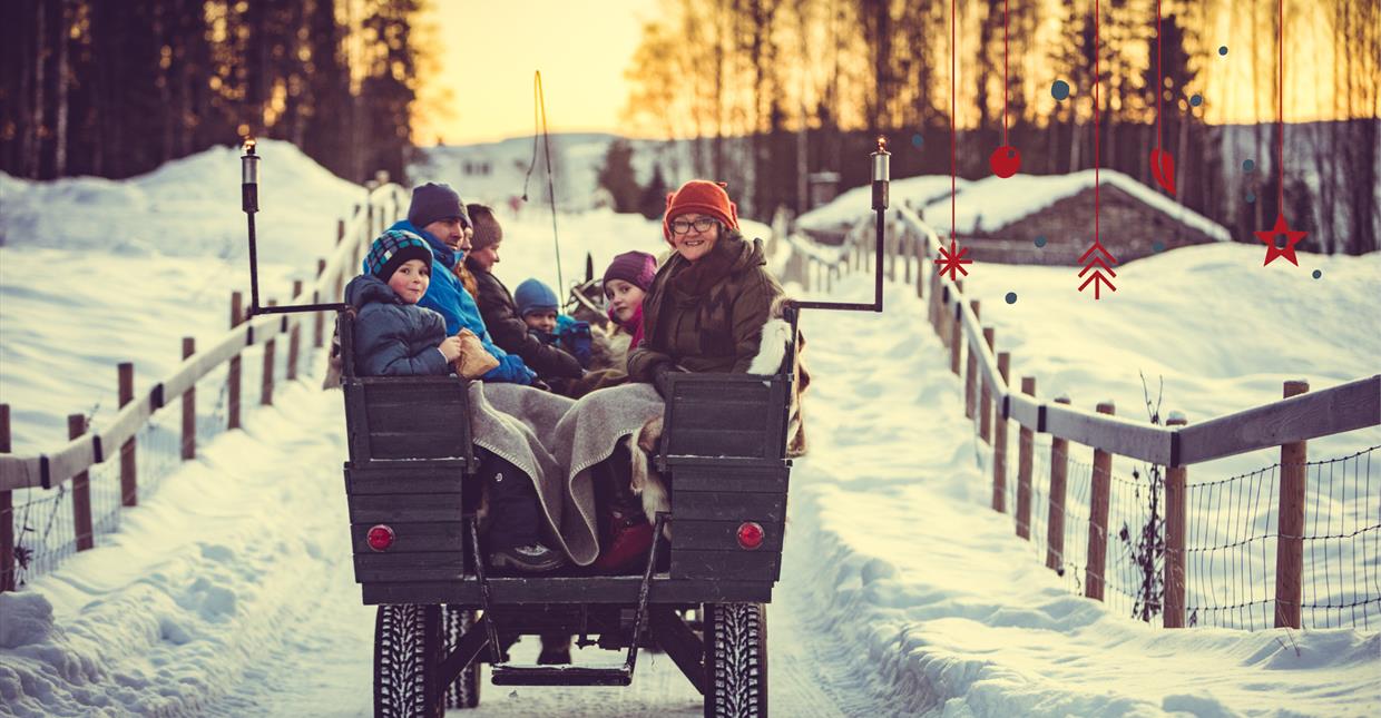 Sleigh rides at Maihaugen Museum, Lillehammer