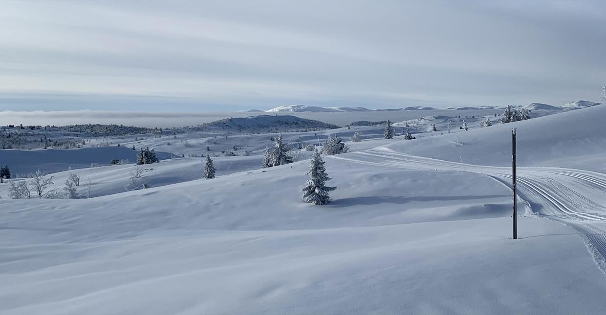 Langrennsløyper strekker seg innover fjellheimen på Skeikampen.