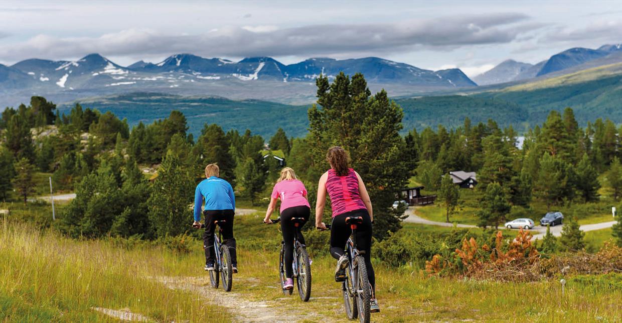 Cycling in Rondane