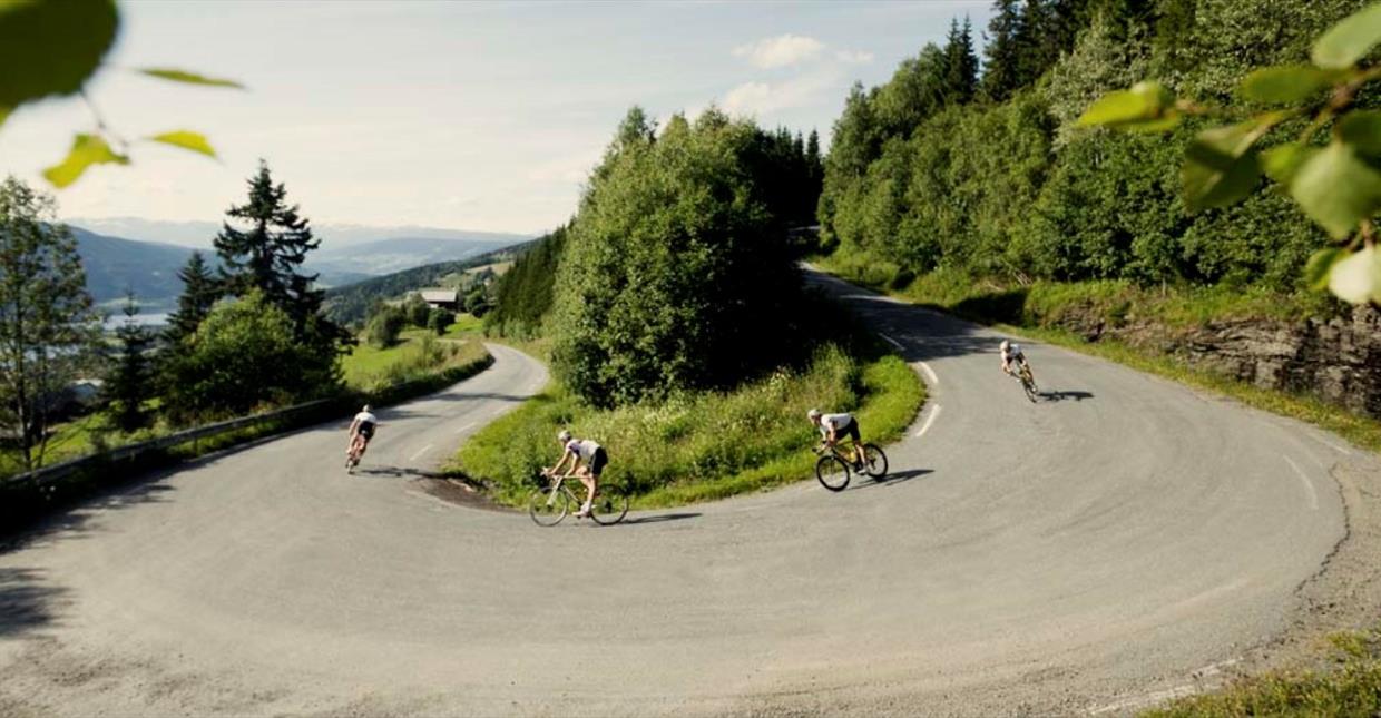 Road bikers in a tight turn