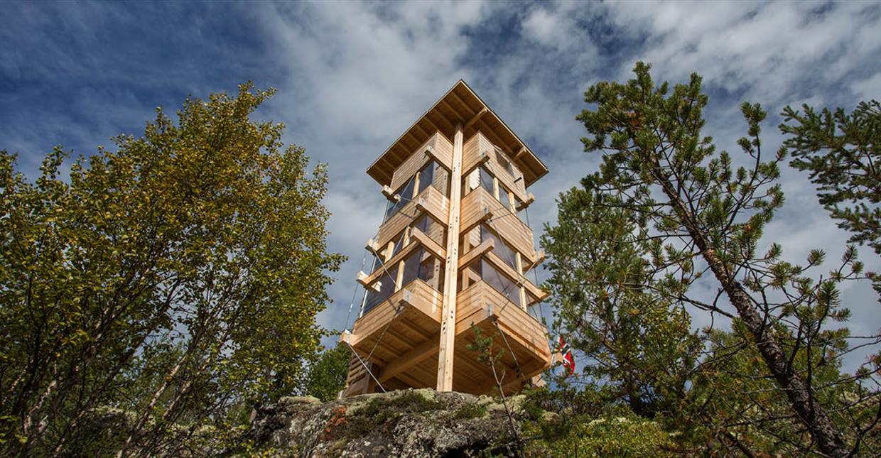 Moose Tower in Espedalen Valley