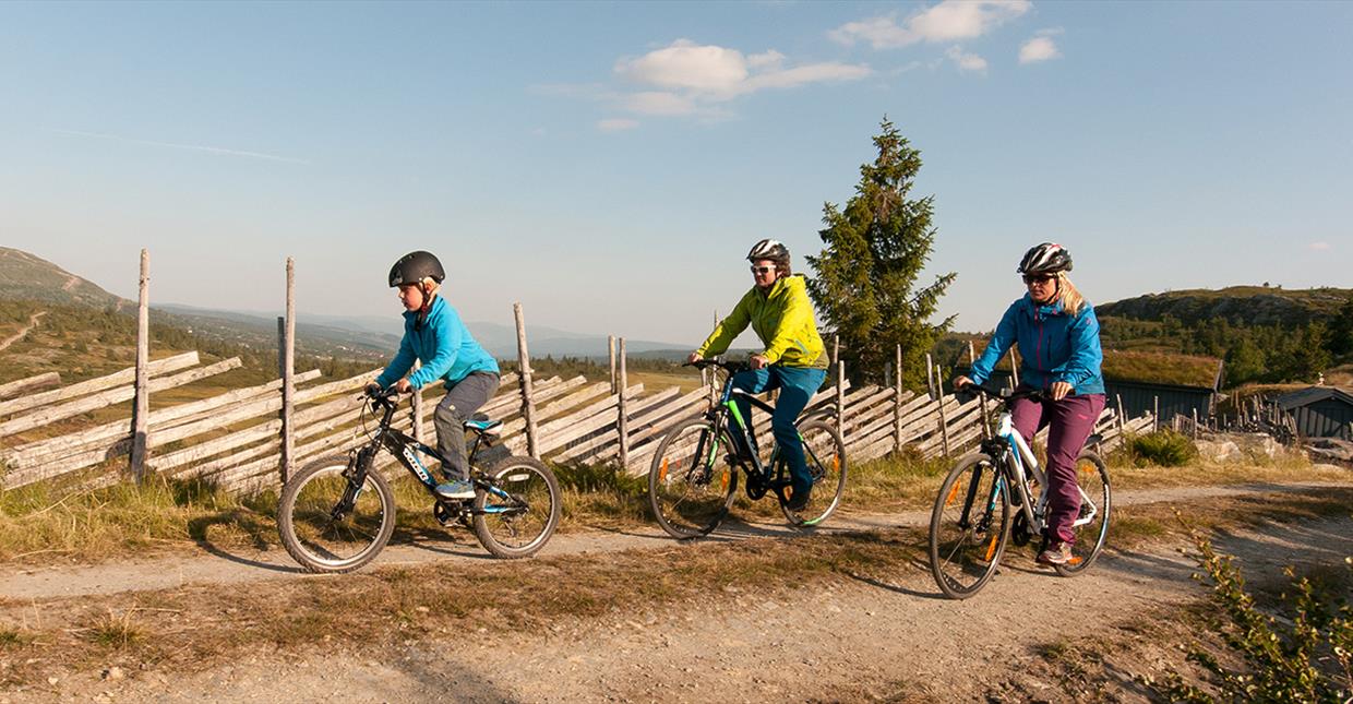 Familie som sykler på Skeikampen