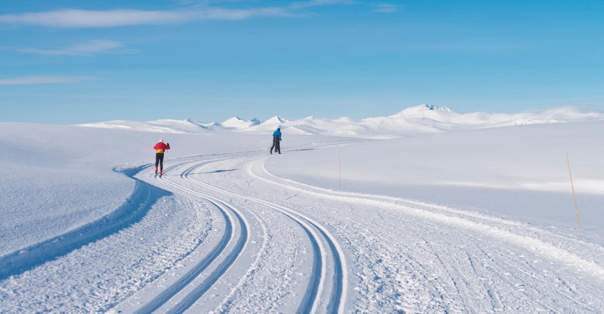 Cross-country skiing at Venabygdsfjellet