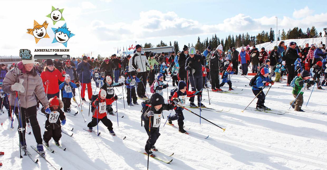 Barnas birkebeinerrenn