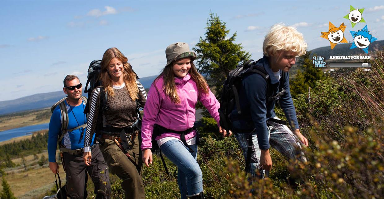 Familie på fjelltur på Sjusjøen på sommeren