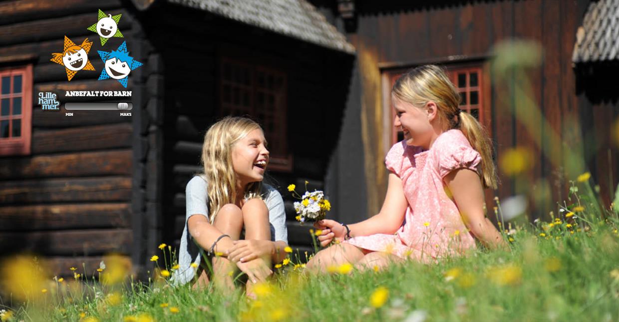 Maihaugen open air museum