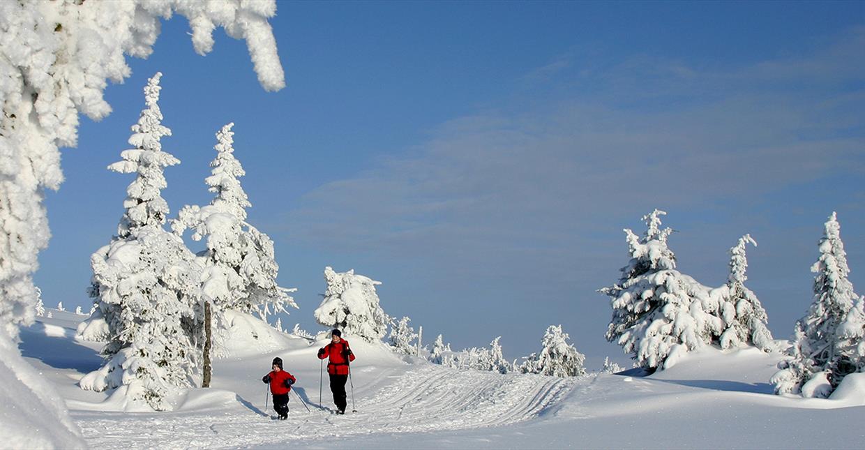 Cross-country Skiing at Nordseter