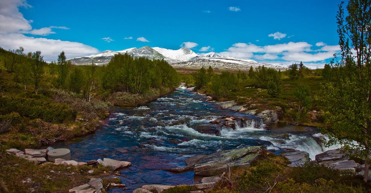 Rondane