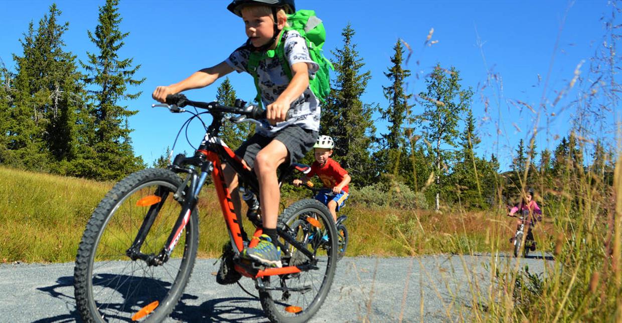 Biking at Sjusjøen