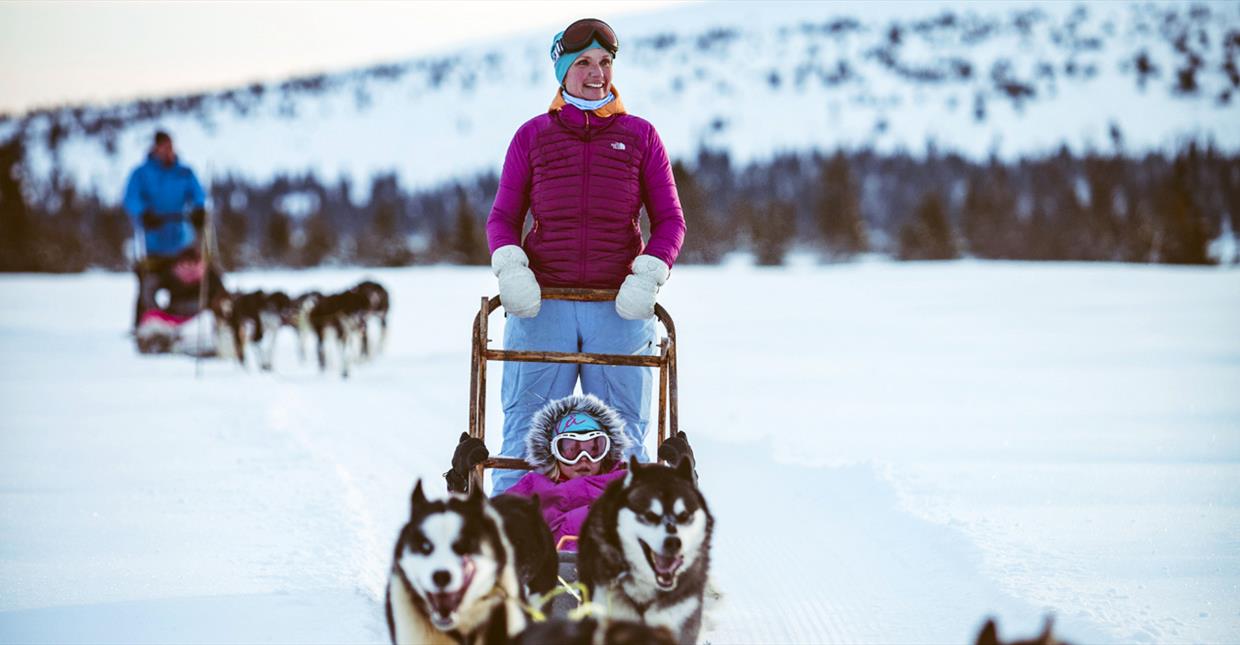 Sjusjøen Husky Tours