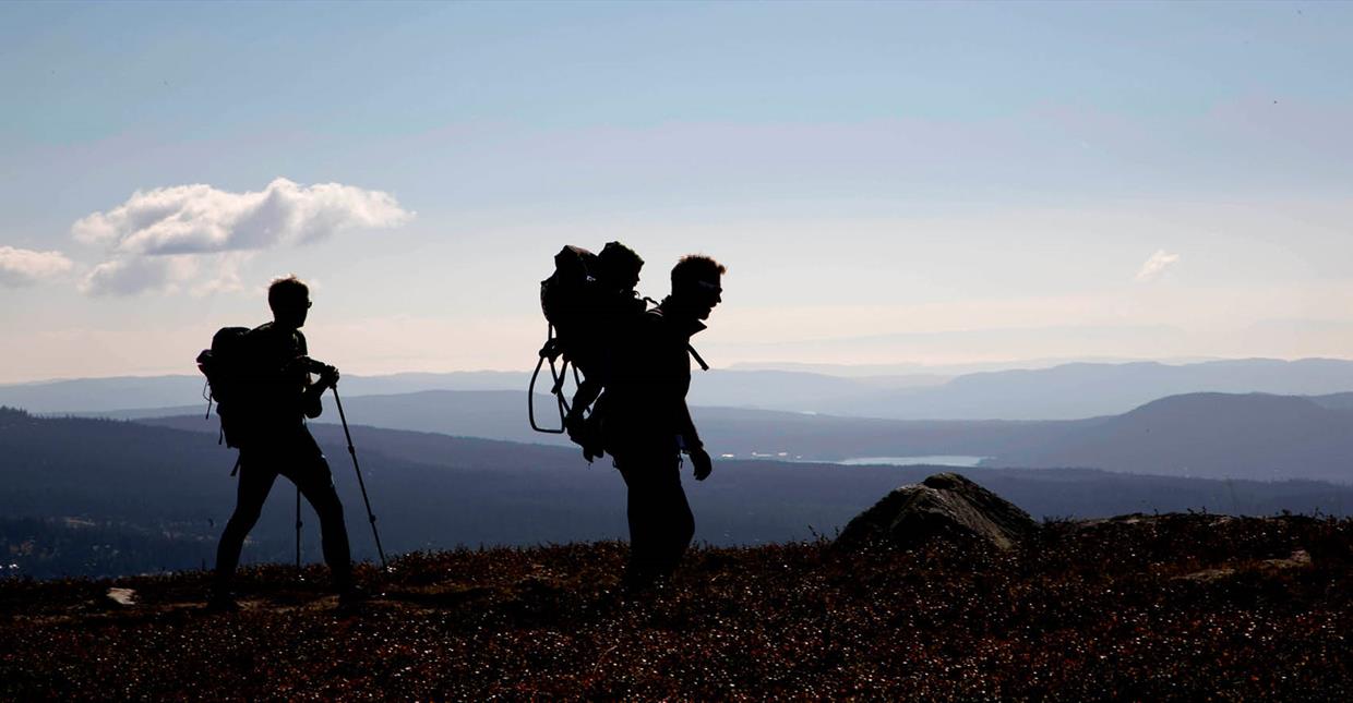 Hiking towards Nevelfjell