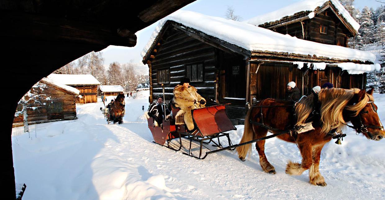 Horse Sleigh Riding at Maihaugen