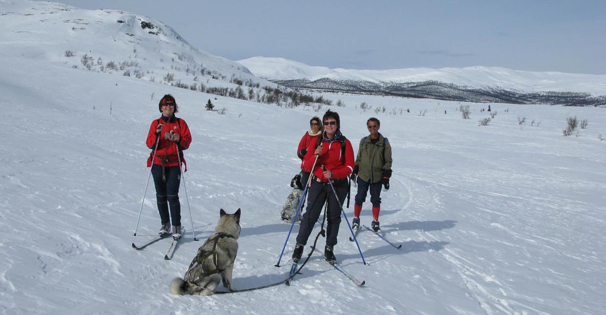 Cross-country Skiing at Espedalen