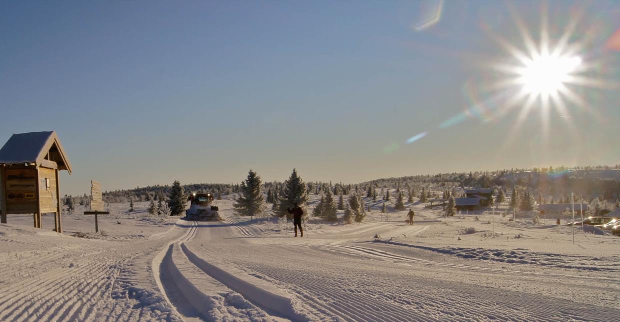 Cross-country Skiing at destination Gålå