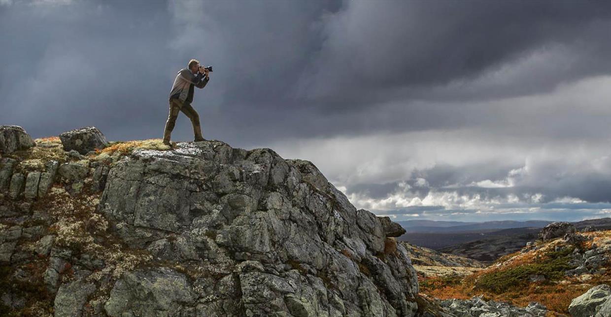 Fotokurs på Venabygdsfjellet